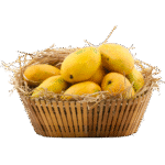 100% Premium Quality Garden Fresh Mango